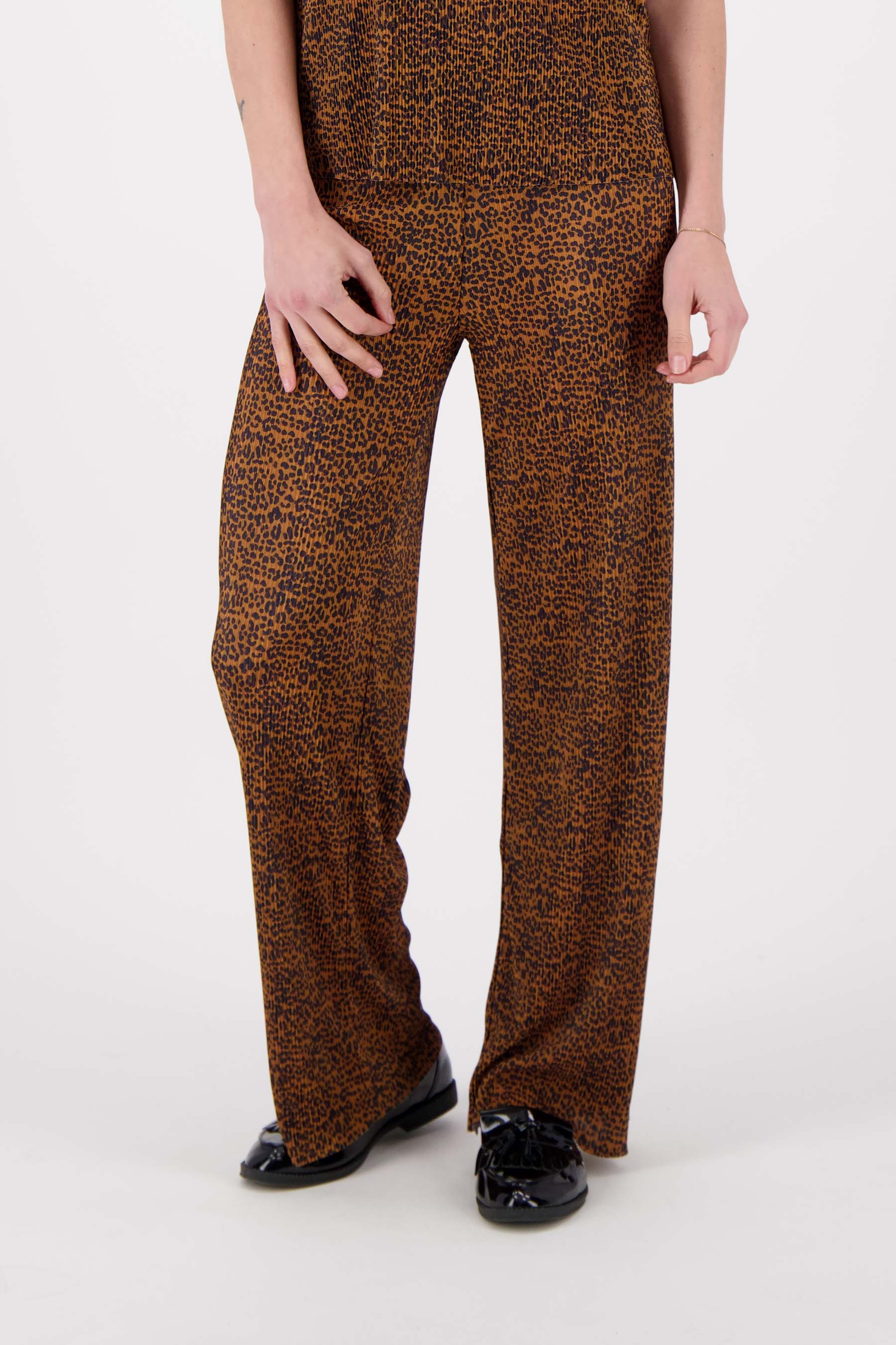 Miniatuur 2